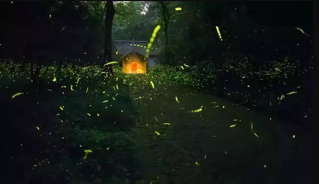 微信截图_20190325092440.png